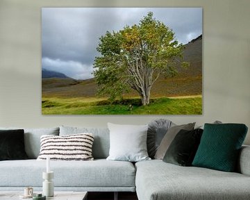 L'arbre mythologique du Sandfell en Islande