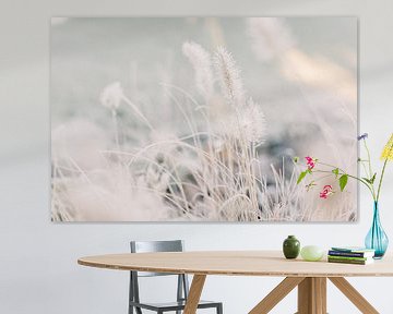 Ornamental grass with frost in winter | Nature photography wall art by Milou van Ham