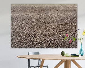 Gepflügtes und besätes Feld mit Windfahne als Vogelscheuche von Peter de Kievith Fotografie