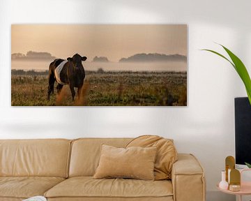 Panoramafoto koe in het weiland