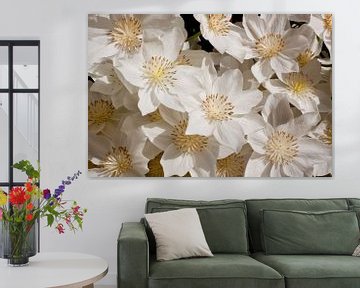 Witte bloemen van Dennis Claessens