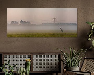 Panoramafoto reiger in het ochtendlicht van Percy's fotografie