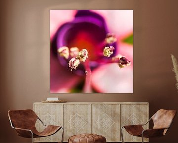 Stuifmeel op de draad