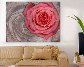 Roos van boven op marmer