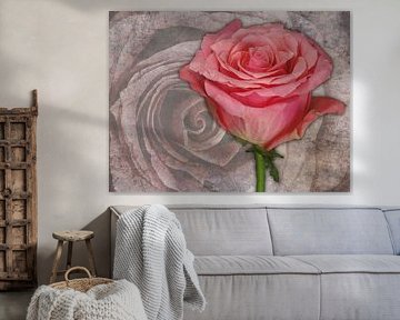 Roos van de voorzijde op marmer