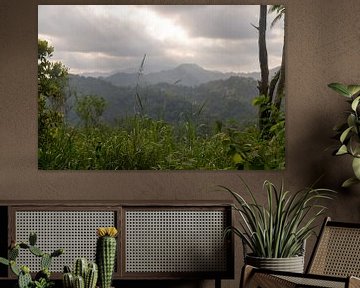 Uitzicht op oerwoud, Ambon, Molukken, Indonesië van Zero Ten Studio