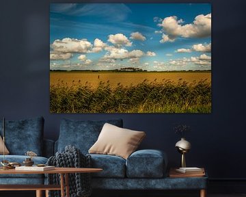 Hollands landschap in Zeeland