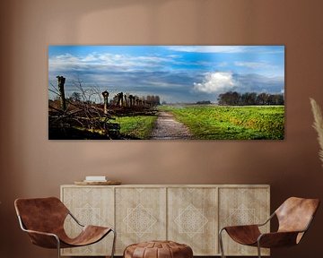 Middendelfland park, knotwilgen waren net gekort