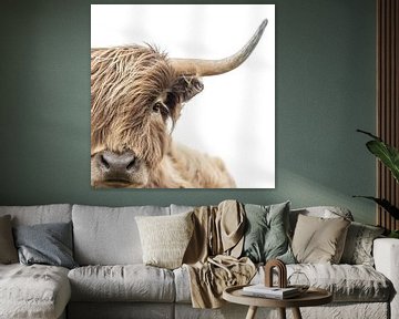 Portret Of A Brown Scottish Highland Cow by Diana van Tankeren