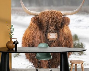 Portrait d'un Highlander écossais dans la neige en hiver sur Sjoerd van der Wal Photographie