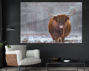 Portrait d'un Highlander écossais dans la neige en hiver sur Sjoerd van der Wal Photographie