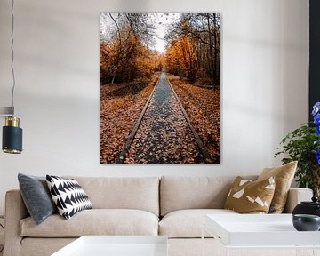Waldstraße zwischen den gefallenen Blättern im Herbst von Tim Goossens