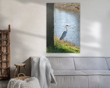 Blauwe reiger van Kyra Hoekema