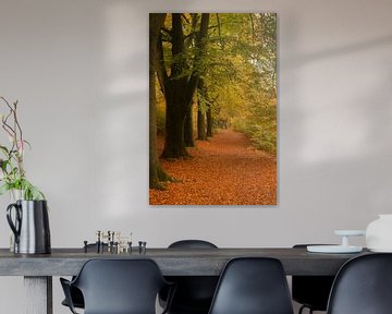 Herfst landschap in een bos in Utrecht van Kyra Hoekema