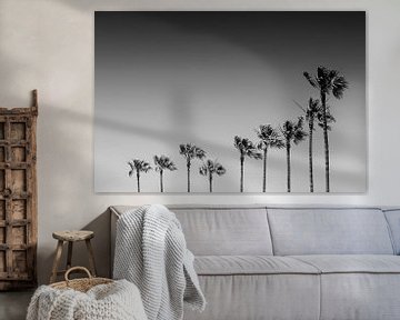 Monochrome California Vibes by Melanie Viola