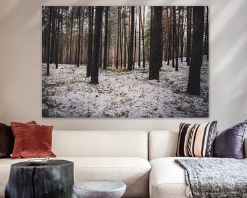 Sneeuw in het naaldbos van Skyze Photography by André Stein