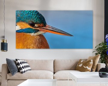 Kingfisher - portrait by Kingfisher.photo - Corné van Oosterhout