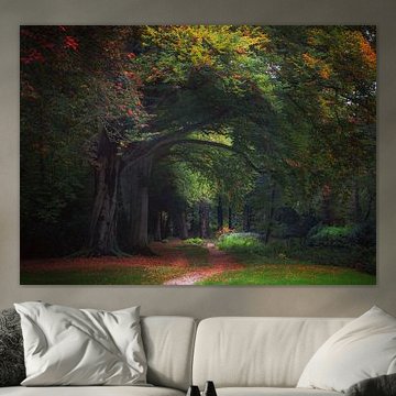 Walk through the forest