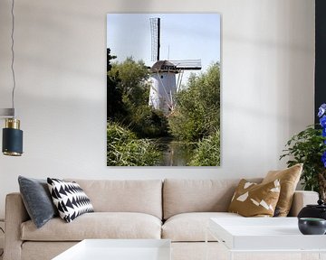 Eine kleine holländische Windmühle an einem Teich mit Grünpflanzen in Schiedam, Niederlande, im Somm von N. Rotteveel