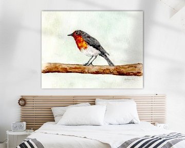 Robins van Sandra Steinke