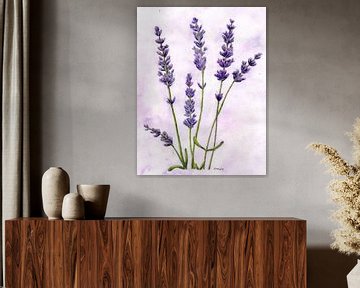 Lavender by Sandra Steinke