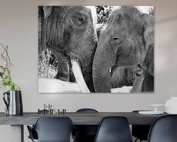 Elephants in love black and white by Liv Jongman