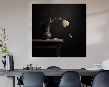 tulip by Carolien van Schie