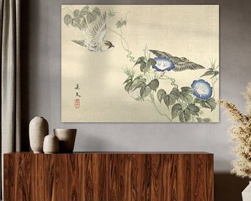 Two birds flying at blue bindweed by Matsumura Keibun - 1892