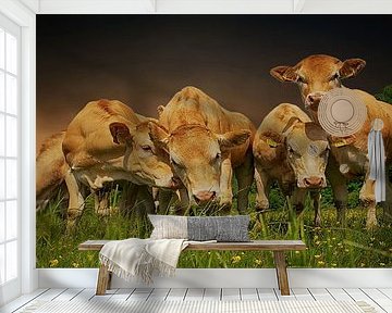 Cows in the fog .Markdal Breda by Saskia Dingemans Awarded Photographer