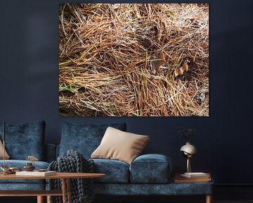 Herfst op zijn herfst.