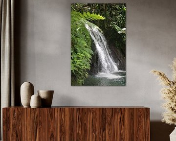 Chute d'eau idyllique dans la jungle sur Ines Porada