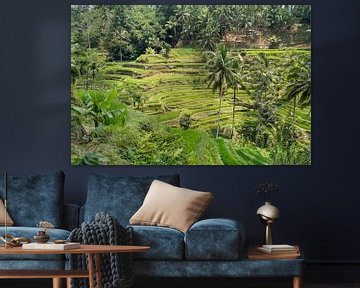 Bali rijstterrassen van Peter Schickert
