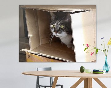 Niemand die mij ziet ! by Maurice van der Horst