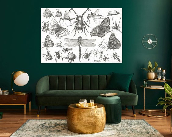 Aperçu de la chambre