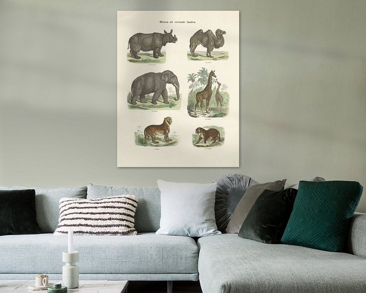 Aperçu de la chambre