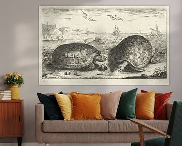 Zwei Schildkröten am Strand von Albert Flamen, 1664