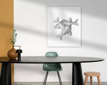 Drei kreuzförmige Fische von Jean-Bernard Duvivier