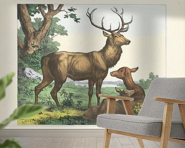 Cerf. / Stag. / Hirsch. / Cervo. / Deer, firm of Joseph Scholz, 1829 - 1880