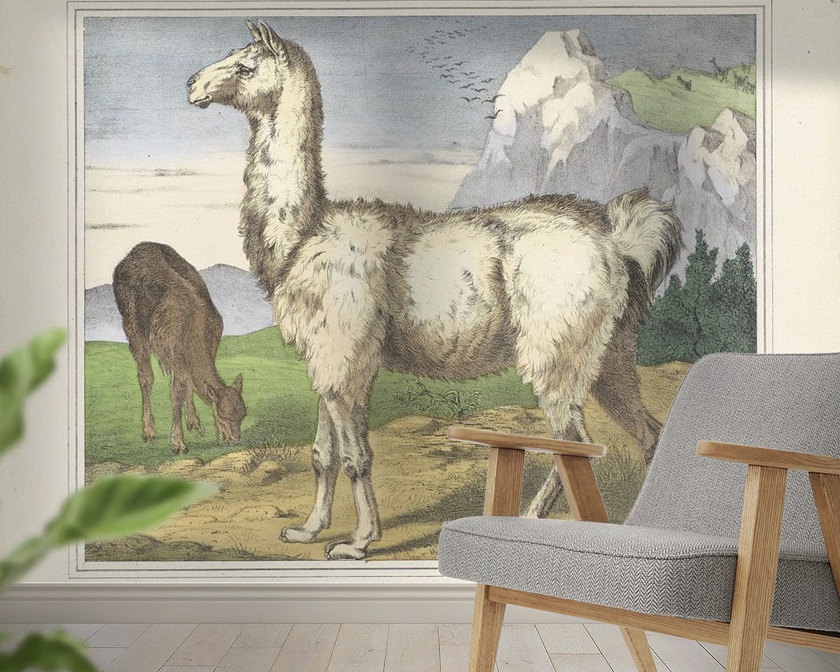Raumvorschau