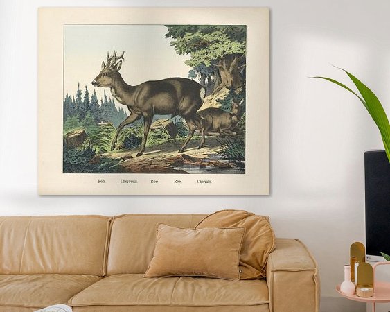 Aperçu de la chambre