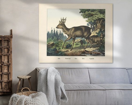 Aperçu de la chambre