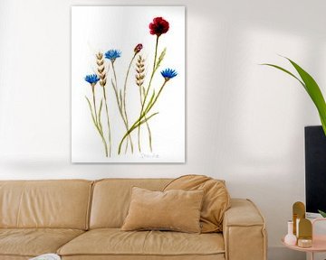 Coquelicots et bleuets sur Sandra Steinke