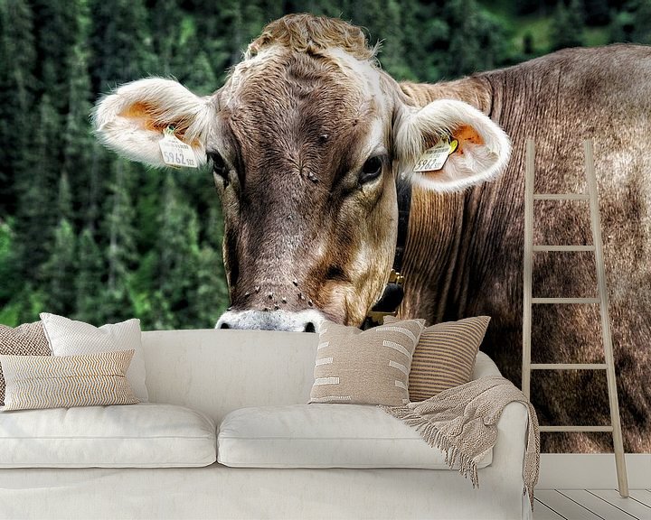 Sfeerimpressie behang: De nieuwsgierige Oostenrijkse koe van Lucas van Gemert