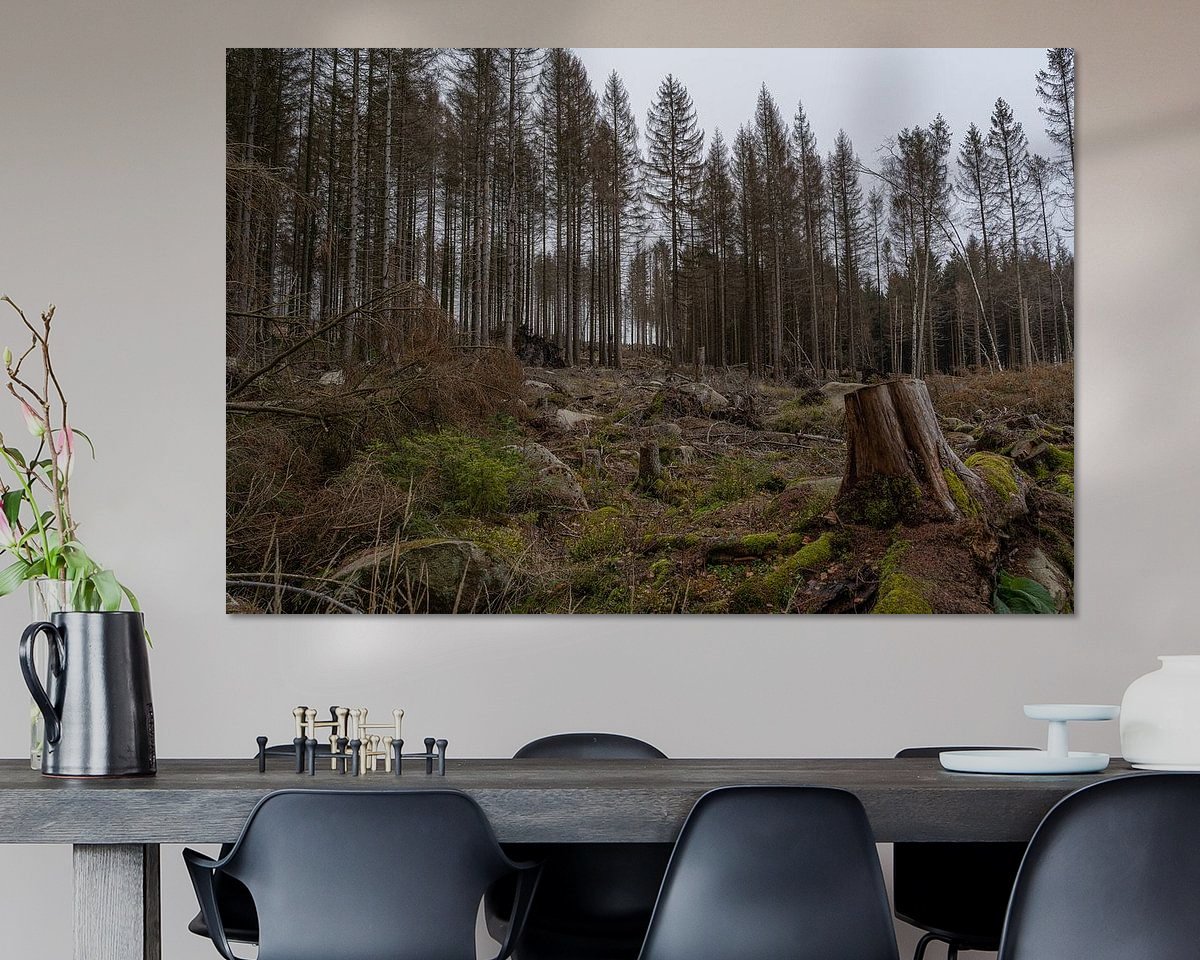 Voorbeeld van het werk in een kamer