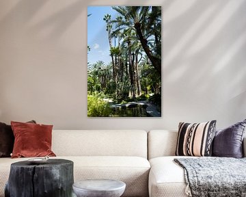 Palmbomen van Merel Taalman