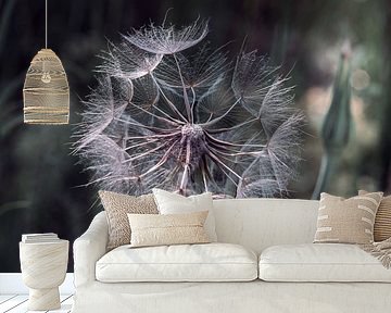 Paardebloem in grazend licht