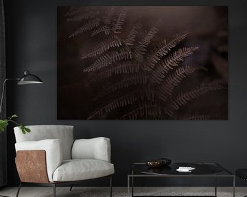 dark fern by Corinna Theis