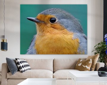 Portrait of a robin by Laurens de Waard