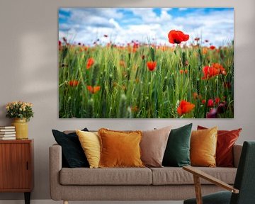 A field full of poppies by Cynthia Hasenbos