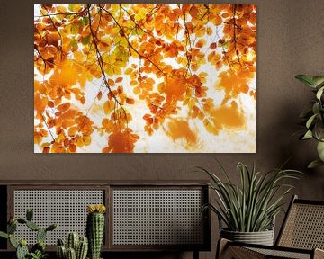 Herbstblätter in schönen Orangetönen von Francis Dost